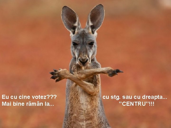 Eu cu cine votez? ? ? Mai bine rămân la. . . cu stg.