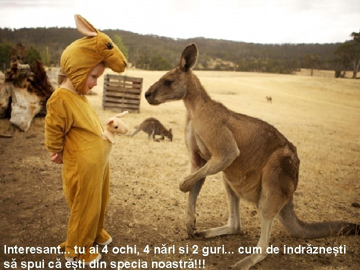 Interesant. . . tu ai 4 ochi, 4 nări si 2 guri. . .