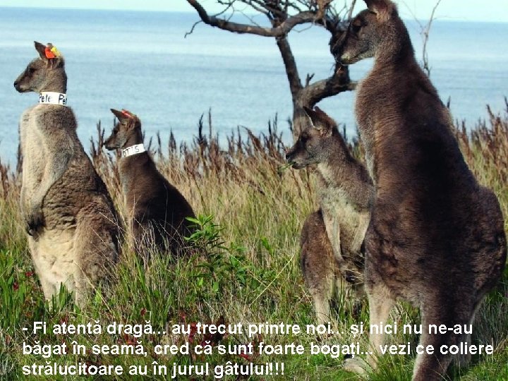 - Fi atentă dragă. . . au trecut printre noi. . . și nici