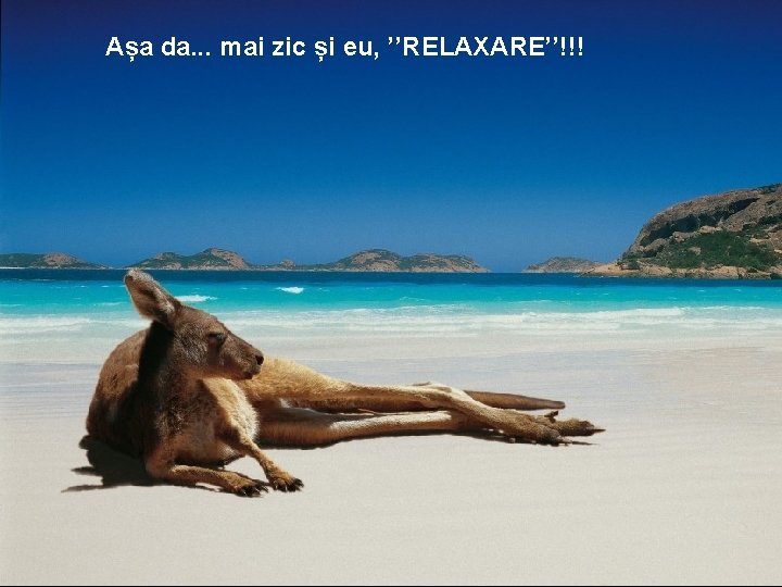 Așa da. . . mai zic și eu, ’’RELAXARE’’!!! 