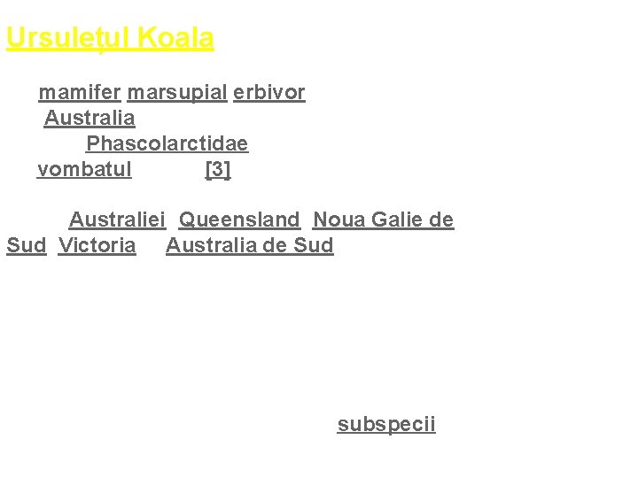 Ursulețul Koala (Phascolarctos cinereus) numit și ursul cu pungă sau eronat ursul koala este