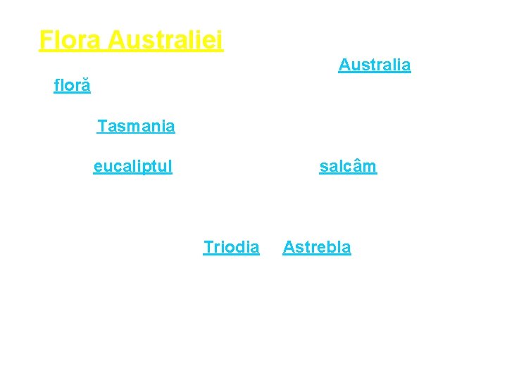 Flora Australiei constă în cea mai mare parte din plante endemice, ceea ce face
