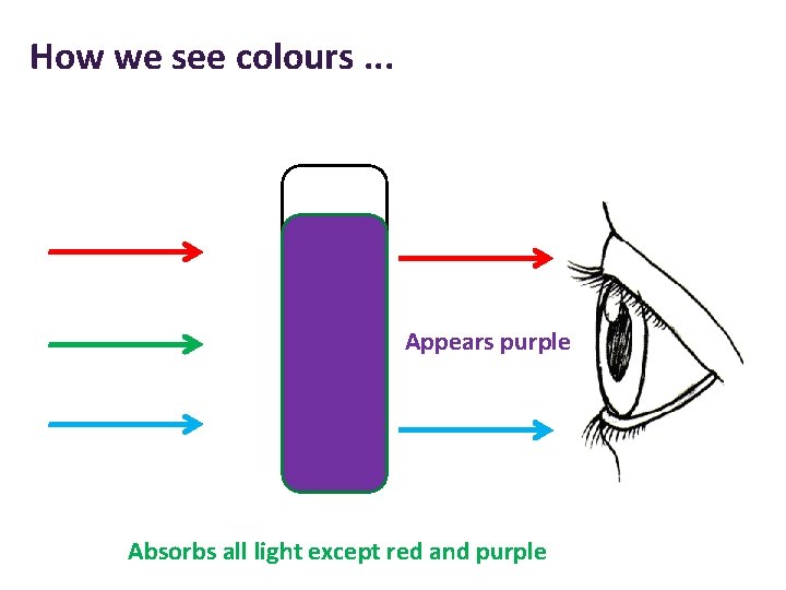 How we see colours. . . Appears purple Absorbs all light except red and