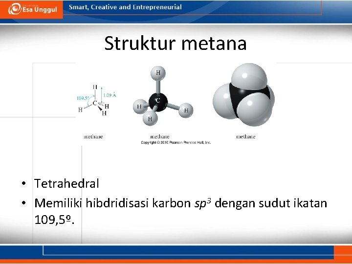 Struktur metana • Tetrahedral • Memiliki hibdridisasi karbon sp 3 dengan sudut ikatan 109,