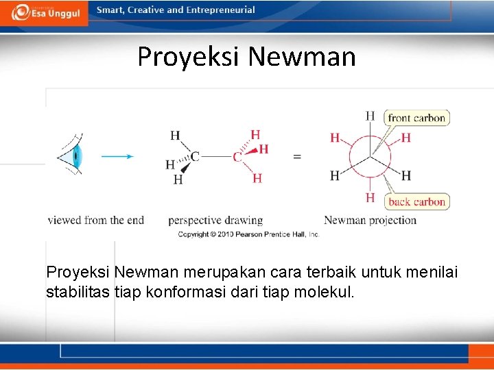 Proyeksi Newman merupakan cara terbaik untuk menilai stabilitas tiap konformasi dari tiap molekul. 