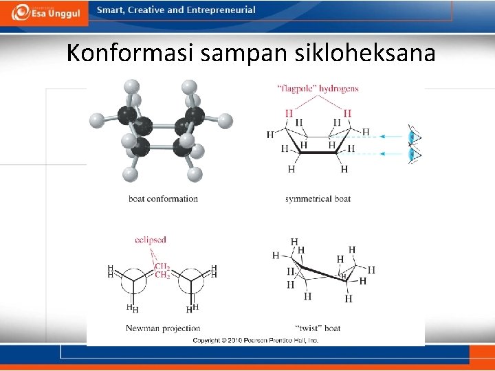 Konformasi sampan sikloheksana 