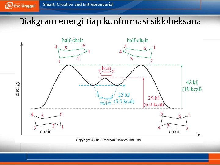 Diakgram energi tiap konformasi sikloheksana 