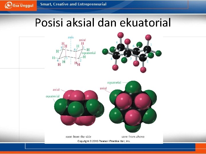 Posisi aksial dan ekuatorial 