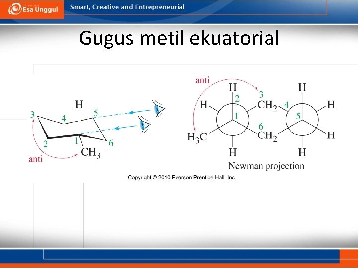 Gugus metil ekuatorial 