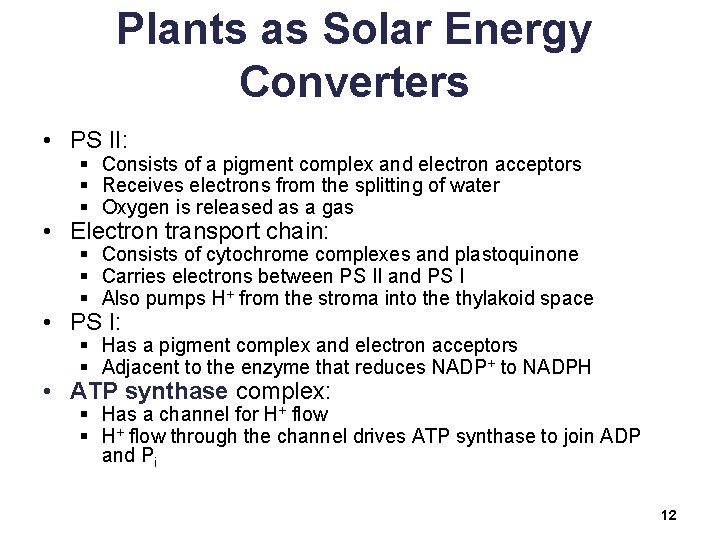 Plants as Solar Energy Converters • PS II: § Consists of a pigment complex