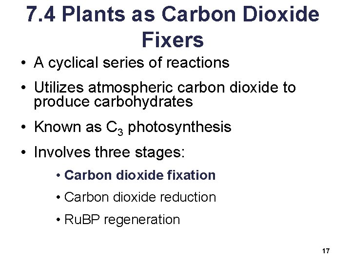 7. 4 Plants as Carbon Dioxide Fixers • A cyclical series of reactions •