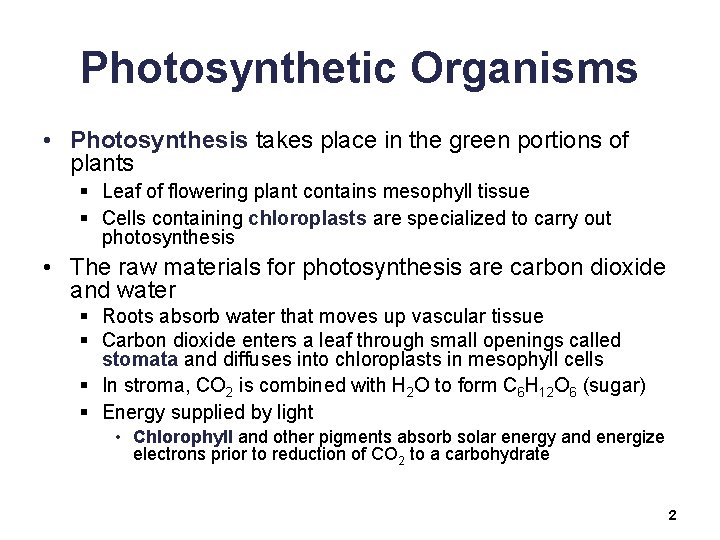 Photosynthetic Organisms • Photosynthesis takes place in the green portions of plants § Leaf