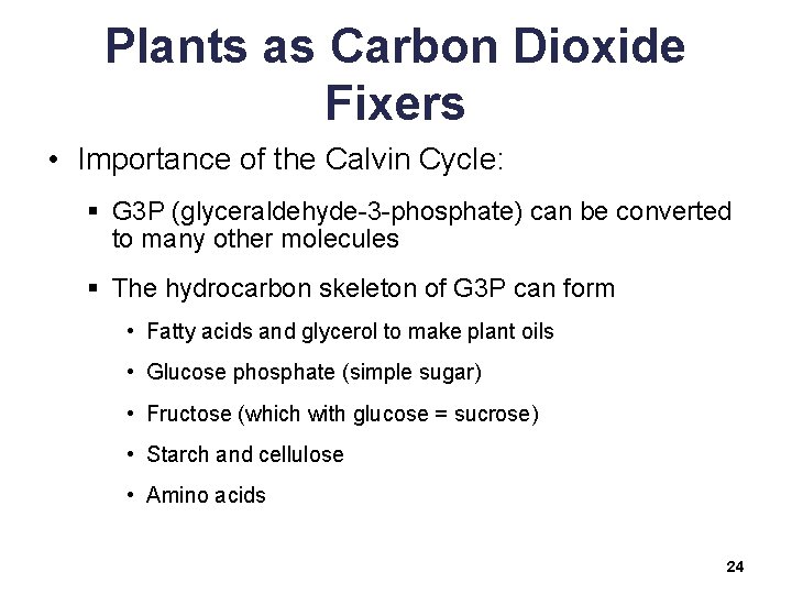 Plants as Carbon Dioxide Fixers • Importance of the Calvin Cycle: § G 3