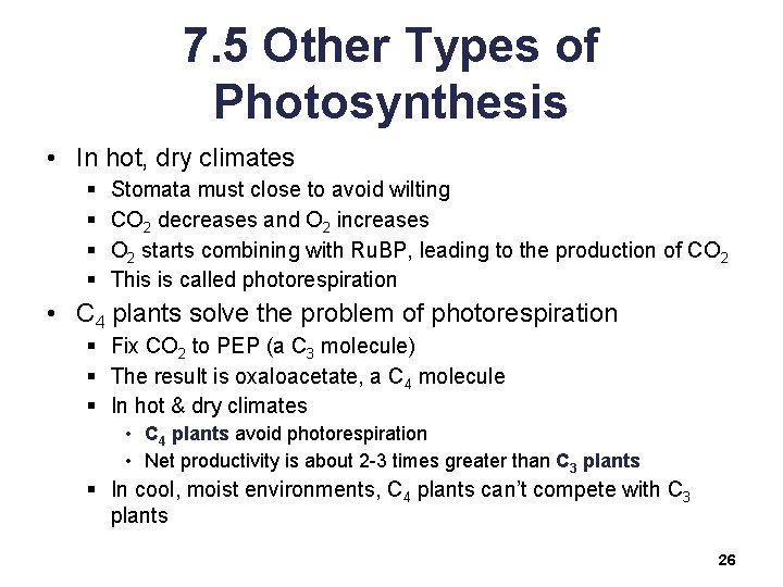 7. 5 Other Types of Photosynthesis • In hot, dry climates § § Stomata