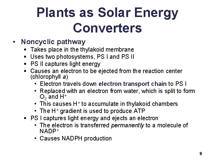 Plants as Solar Energy Converters • Noncyclic pathway § § Takes place in the