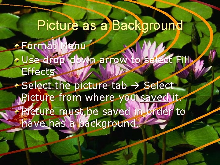 Picture as a Background Format Menu Use drop-down arrow to select Fill Effects Select