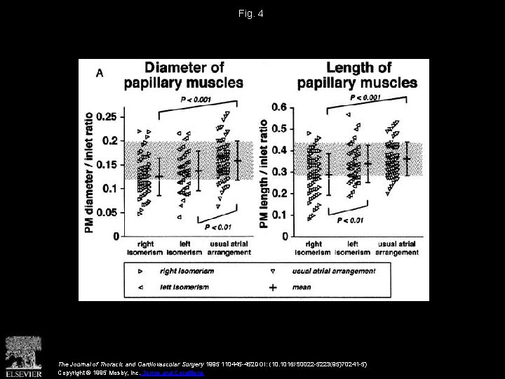 Fig. 4 The Journal of Thoracic and Cardiovascular Surgery 1995 110445 -452 DOI: (10.