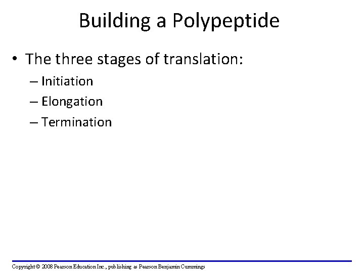 Building a Polypeptide • The three stages of translation: – Initiation – Elongation –