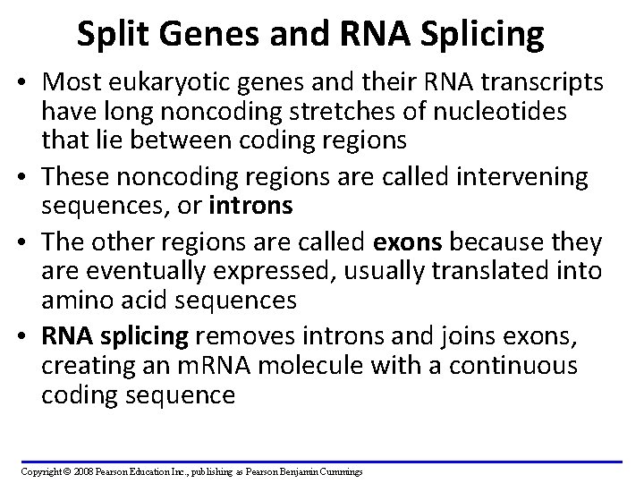 Split Genes and RNA Splicing • Most eukaryotic genes and their RNA transcripts have
