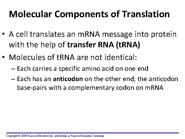 Molecular Components of Translation • A cell translates an m. RNA message into protein