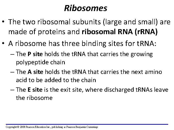 Ribosomes • The two ribosomal subunits (large and small) are made of proteins and