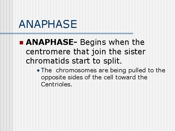 ANAPHASE n ANAPHASE- Begins when the centromere that join the sister chromatids start to ANAPHASE n ANAPHASE- Begins when the centromere that join the sister chromatids start to