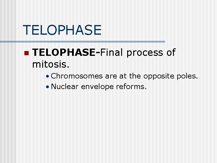 TELOPHASE n TELOPHASE-Final process of mitosis. • Chromosomes are at the opposite poles. • TELOPHASE n TELOPHASE-Final process of mitosis. • Chromosomes are at the opposite poles. •