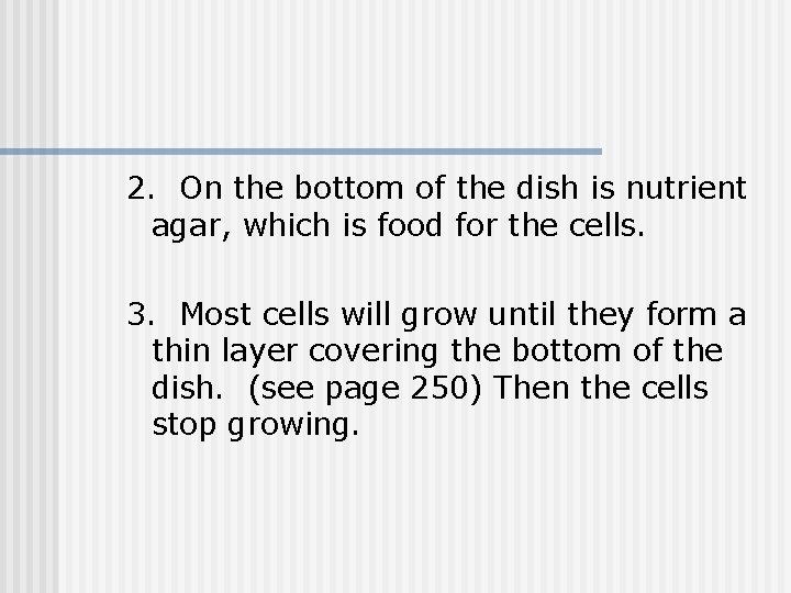 2. On the bottom of the dish is nutrient agar, which is food for 2. On the bottom of the dish is nutrient agar, which is food for