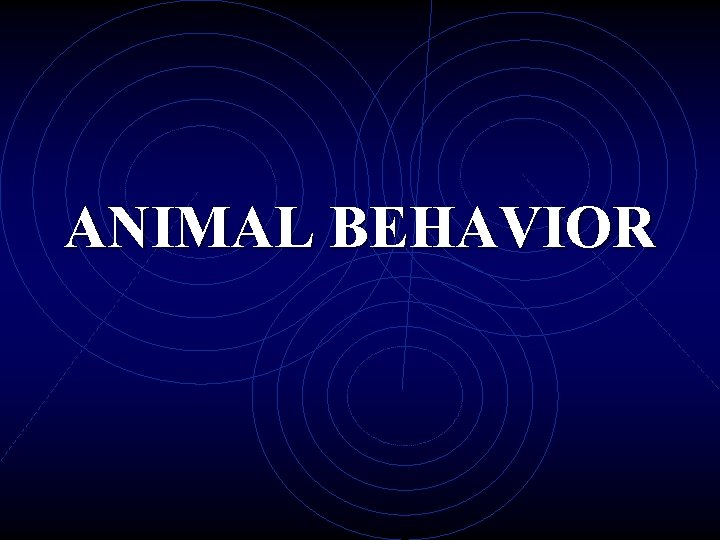 ANIMAL BEHAVIOR 