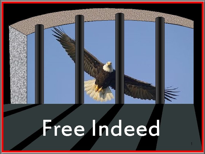 Free Indeed 1 