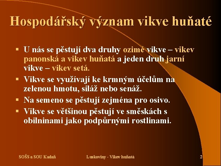 Hospodářský význam vikve huňaté § U nás se pěstují dva druhy ozimé vikve –