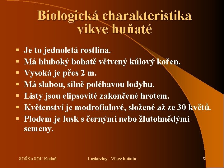 Biologická charakteristika vikve huňaté § § § § Je to jednoletá rostlina. Má hluboký