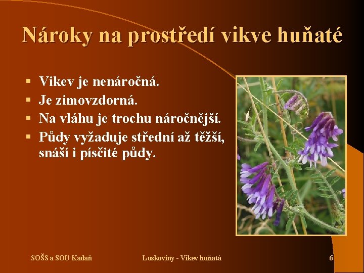 Nároky na prostředí vikve huňaté § § Vikev je nenáročná. Je zimovzdorná. Na vláhu