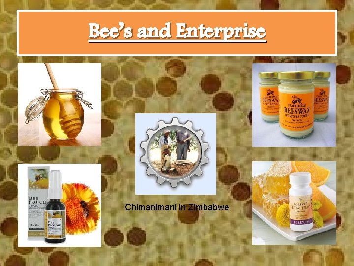 Bee’s and Enterprise Chimani in Zimbabwe 