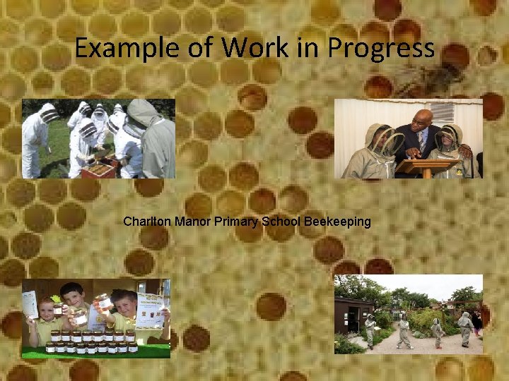 Example of Work in Progress Charlton Manor Primary School Beekeeping 
