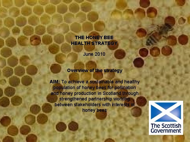 THE HONEY BEE HEALTH STRATEGY June 2010 Overview of the strategy AIM: To achieve