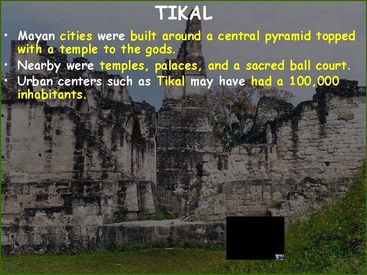 TIKAL • Mayan cities were built around a central pyramid topped with a temple