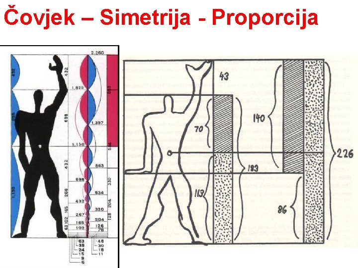 Čovjek – Simetrija - Proporcija 