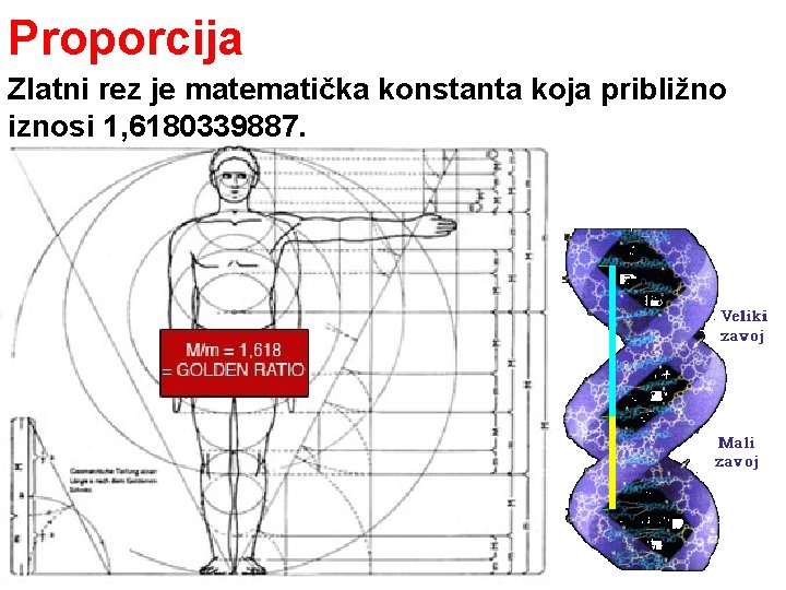 Proporcija Zlatni rez je matematička konstanta koja približno iznosi 1, 6180339887. Proporcija Zlatni rez je matematička konstanta koja približno iznosi 1, 6180339887.