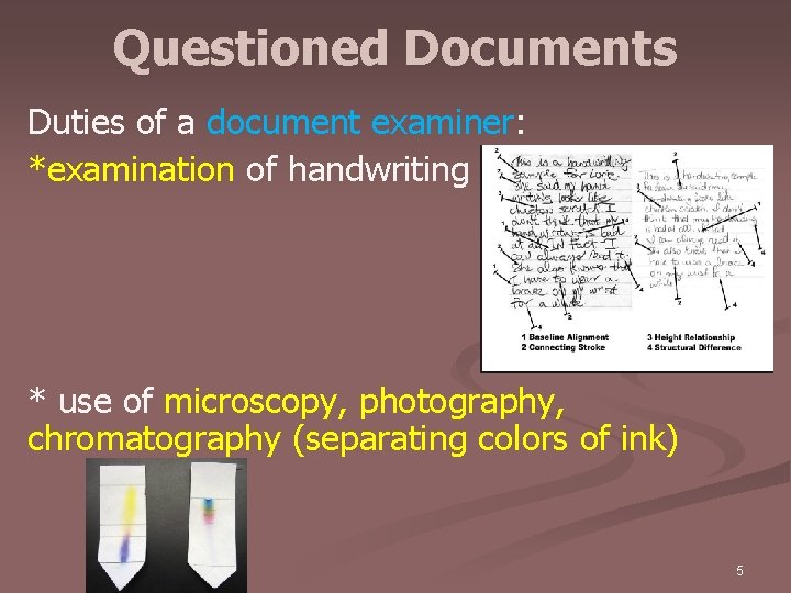 Questioned Documents Duties of a document examiner: *examination of handwriting * use of microscopy,