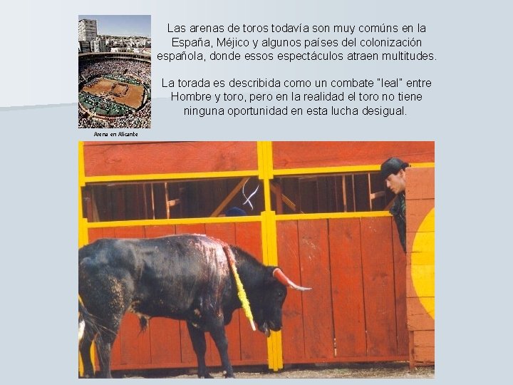 Las arenas de toros todavía son muy comúns en la España, Méjico y algunos