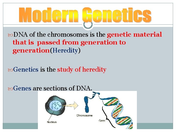  DNA of the chromosomes is the genetic material that is passed from generation