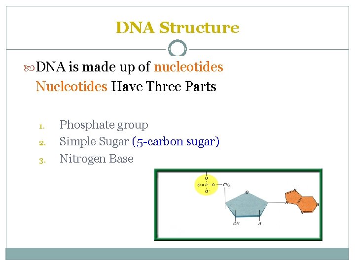 DNA Structure DNA is made up of nucleotides Nucleotides Have Three Parts 1. 2.