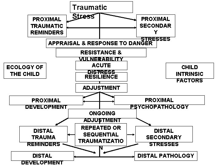 Traumatic Stress PROXIMAL SECONDAR Y STRESSES APPRAISAL & RESPONSE TO DANGER PROXIMAL TRAUMATIC REMINDERS