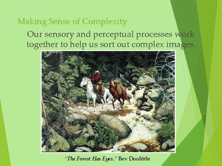 Making Sense of Complexity Our sensory and perceptual processes work together to help us