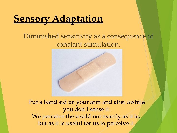 Sensory Adaptation Diminished sensitivity as a consequence of constant stimulation. Put a band aid