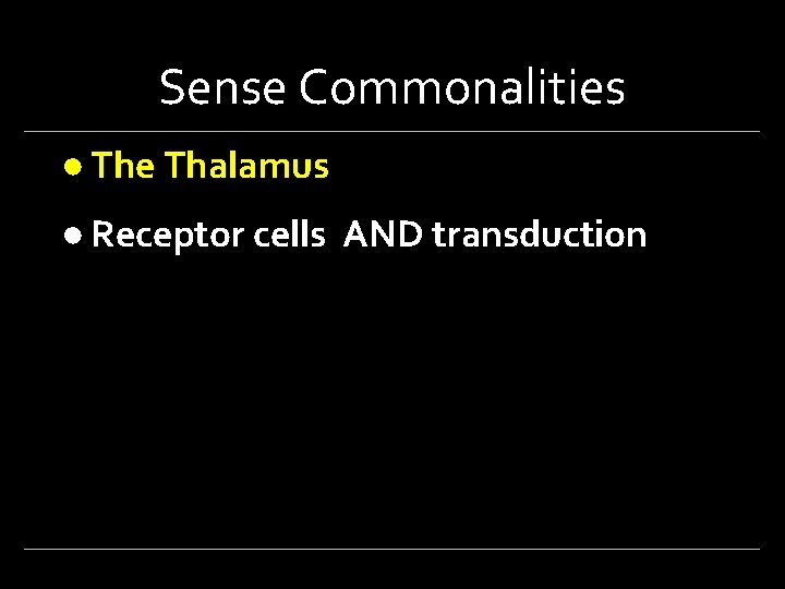 Sense Commonalities ● The Thalamus ● Receptor cells AND transduction 