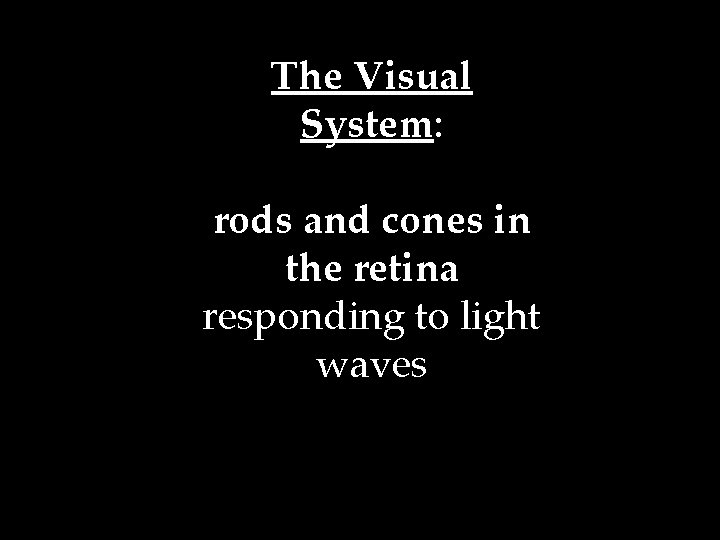 The Visual System: rods and cones in the retina responding to light waves 