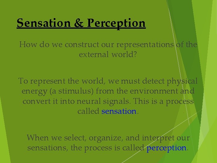 Sensation & Perception How do we construct our representations of the external world? To