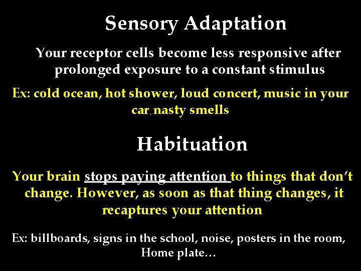 Sensory Adaptation Your receptor cells become less responsive after prolonged exposure to a constant